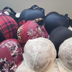 Lane Bryant Cacique